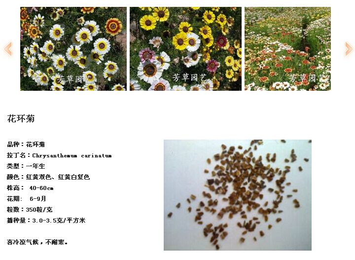 https://v.h5site.cn/zone/data/-693617133_bjfangcao/admin/image/花环菊_NWm9.jpg